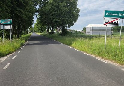 Pod ogródek, rekreację, lokatę   czarnów gm.leszno