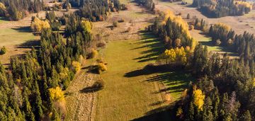 Działka w białym dunajcu gile