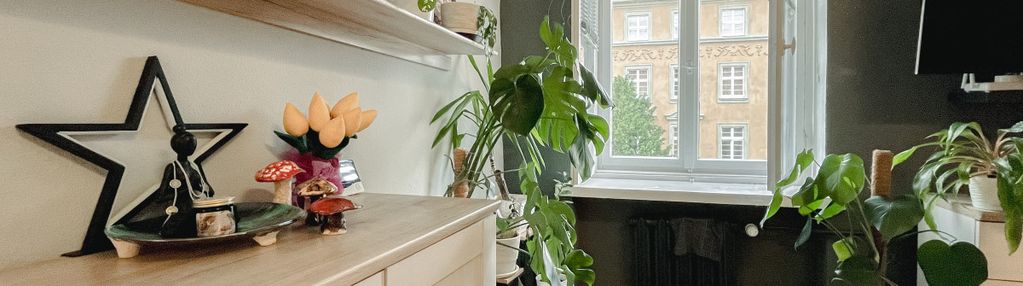 Przestronne mieszkanie w centrum opola