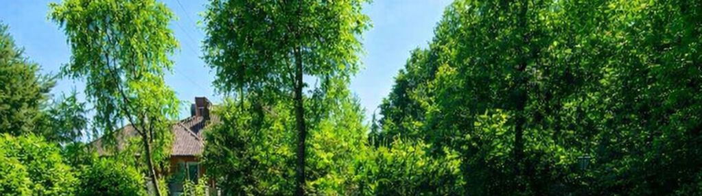 2  nieruchomości: dom + działka obok z basenem