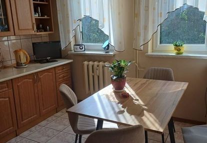 Duże mieszkanie 63 m2 stary sącz