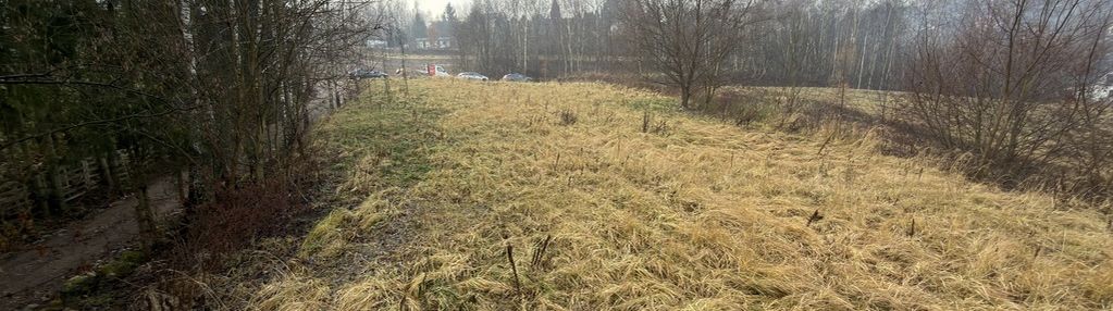 Balice | działka budowlana 20 ar | media | droga