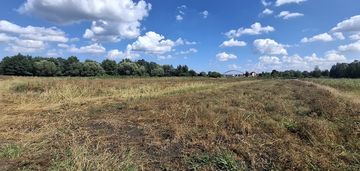 Działka usługowa dziewięć włók 1,2h