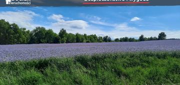 Kompleks uzbrojonych działek na granicy przodkowa!