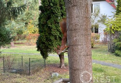 Działka z domem do rozbudowy konstancin - jeziorna