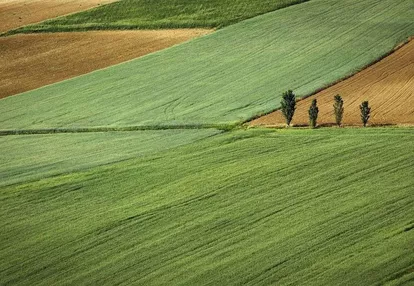 Sprzedam działkę rolną Górki Baćki 10000 m2