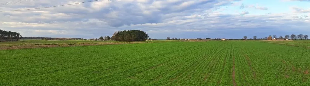 Działka na sprzedaż 5700m2