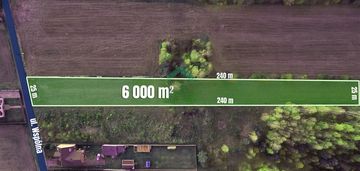 Duża działka w otoczeniu lasów