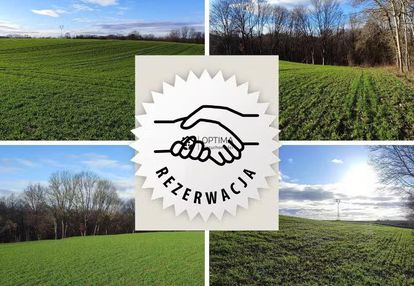 Bociania dz. nr 217/3, 1005m2, 59zł/m2