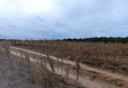 Działka na sprzedaż 1000m2