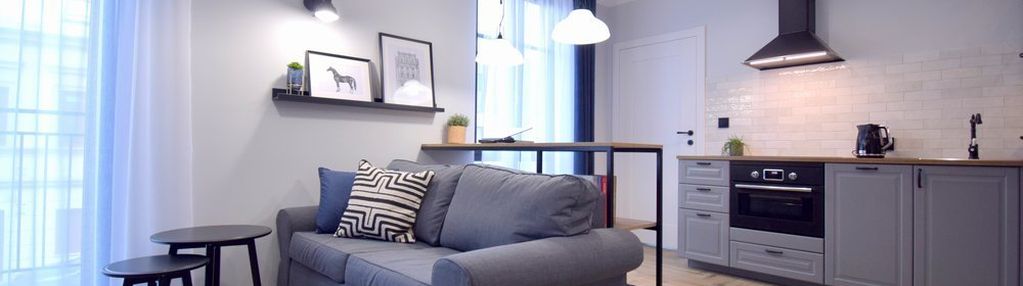 Studio, 30m2, ul.dąbrowskiego, zabłocie, cisco