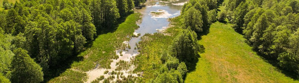 Działka budowlana arciechów