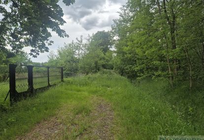 Działka 1142m2 w nowych osinach