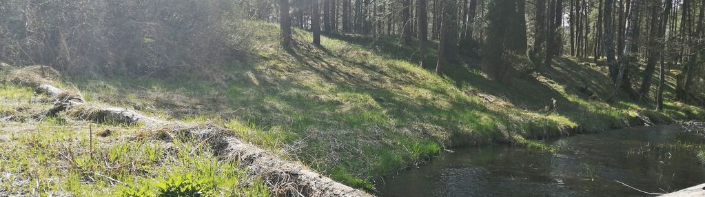 Działka budowlana nad rzeką: linia brzegowa las wz