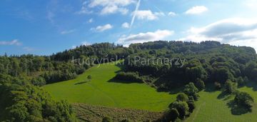 15 ha w wojcieszowie
