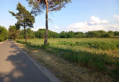 Lipiny | inwestycyjna | media w drodze