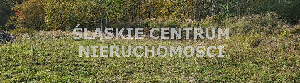Teren dla przedsiębiorców