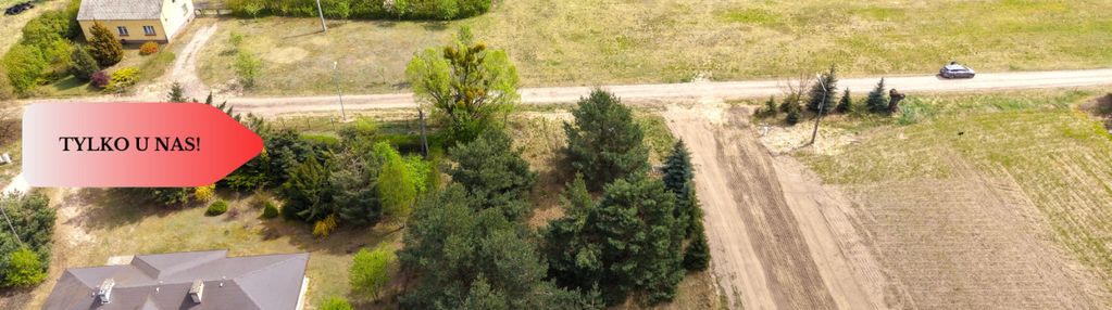 Działka budowlana z drzewami pod bydgoszczą!