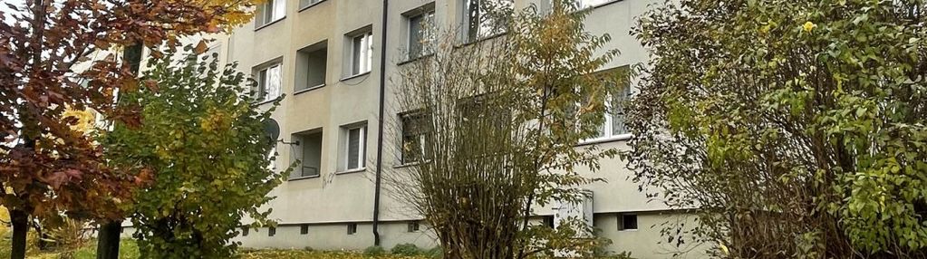 Zaprojektuj swoje wymarzone mieszkanie od podstaw!