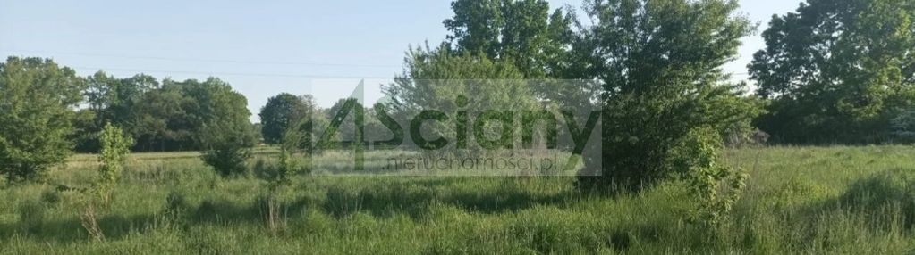 Warunki zabudowy blisko lasu. jest komunikacja!