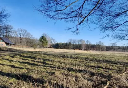 Działka na sprzedaż 3000m2