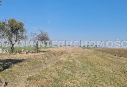 Działki dłutowo gm naruszewo