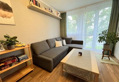 Borowska-okazja-rozkład-2pok-42m-2stronne-miejskie