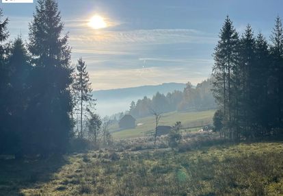 Widokowa, otoczona drzewami w malowniczej milówce!