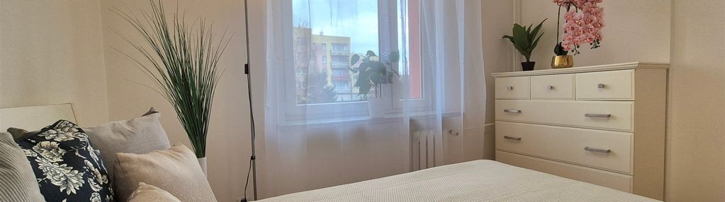 Kalinowa|słoneczne|parking|komórka