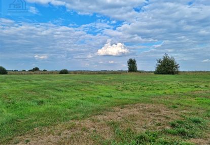 Łąka w gminie tykocin.