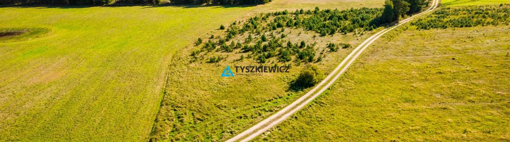 Działka o powierzchni 5,30 ha w gminie kościerzyna