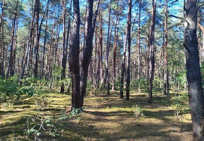 Na sprzedaż! działka - osiedle wilga