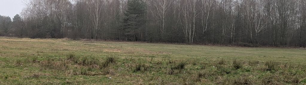 Działka rolna 4900 m, niedaleko warszawy