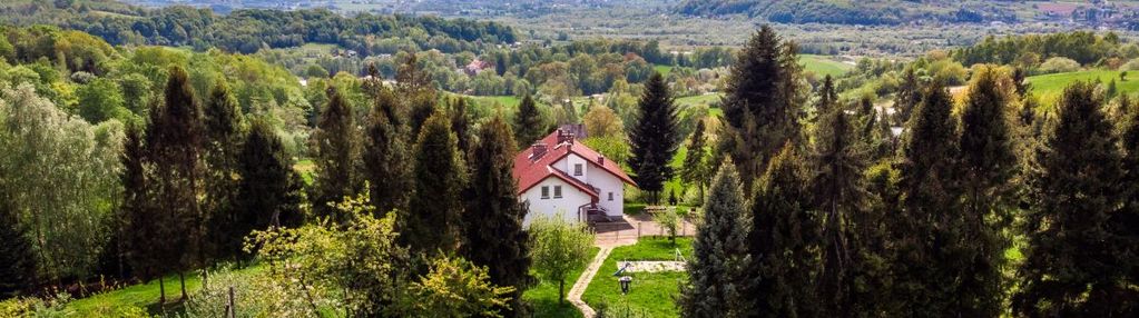 Tarnów/janowice 1 hektar ziemi + dom