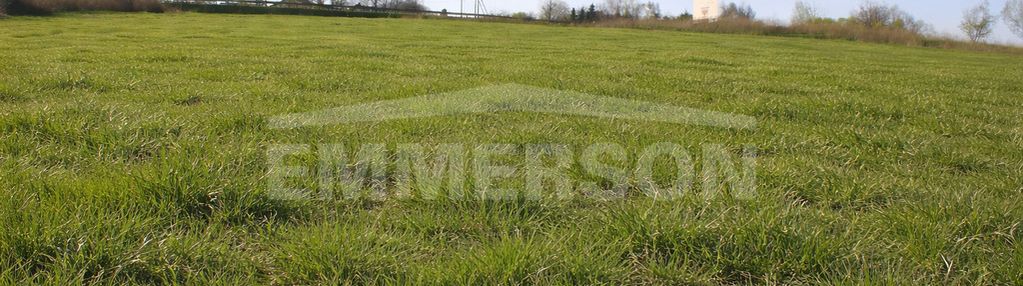 Działka komercyjno-bud. z lasem - 2,44 ha libertów