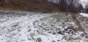 Działka budowlana z lasem