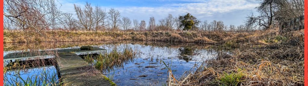 Działka 1,5 ha ze stawem w parku krajobrazowym