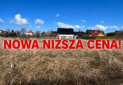 Działka budowlana z potencjałem - cedry wielkie