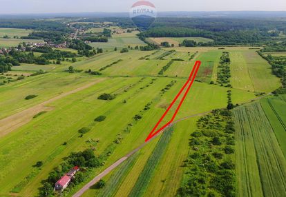 Działka rolna poręba-niwki