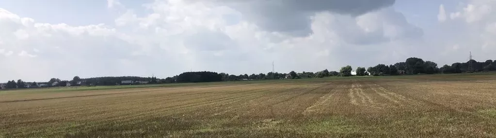 Działka na sprzedaż 3000m2