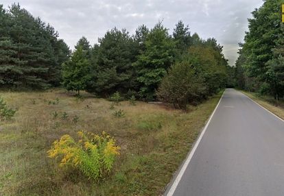 Skrajnica - zalesiony teren budowlano-rolny