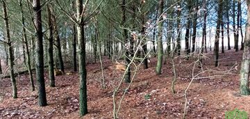 Jania góra-siedlisko 1,16ha remont lub wyburzenie