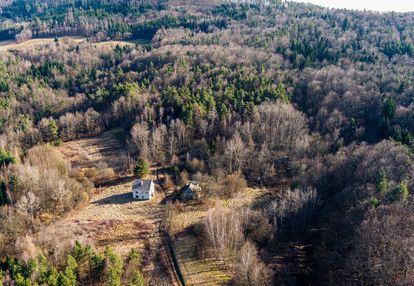 7 ha działki z domem w olszowej koło zakliczyna