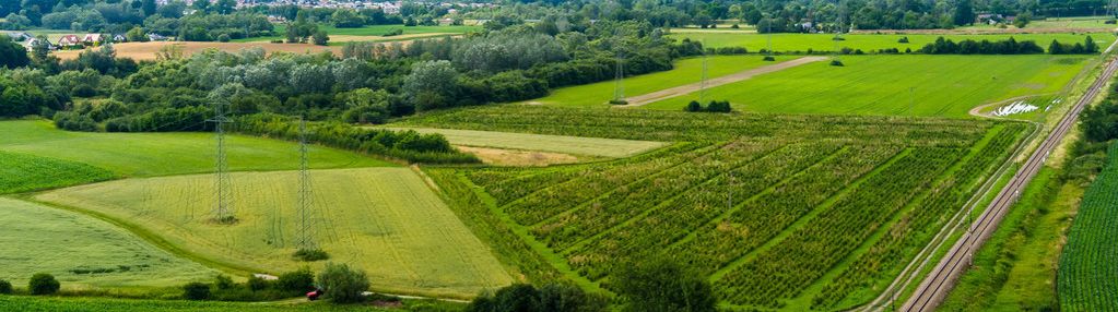 Działka inwestycyjna - wysoki i szybki zysk