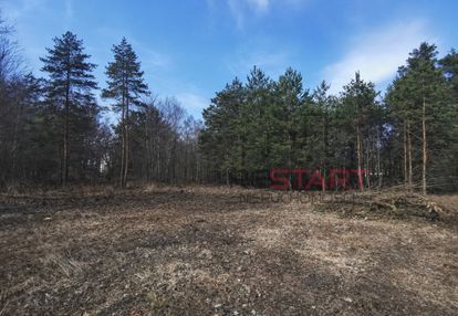 Budowlana, nowe domy,drzewa.