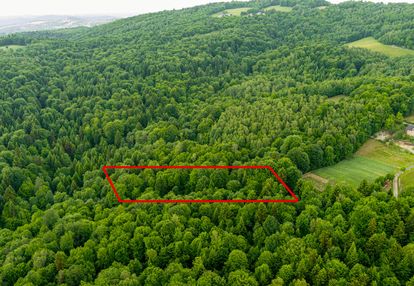 Prywatny las 41 ar – siemiechów, gm. gromnik