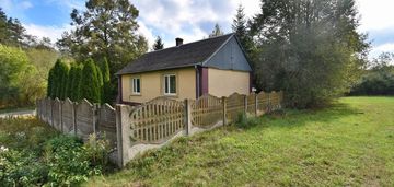 Gospodarstwo, działka 5313 m2, czekarzewice i