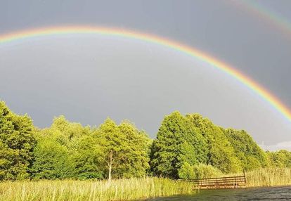 Urocza działka w pobliżu jeziora bielskiego