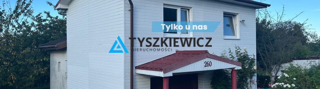 Zielona przystań w mieście – rod jasień