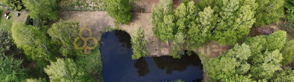 Idealne miejsce w środku lasu i blisko jeziora